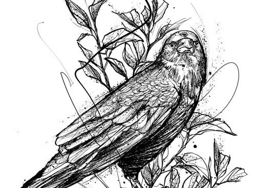 Bryan Sánchez M. work