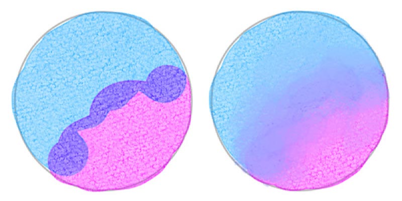 Pinte com pincéis de aquarela