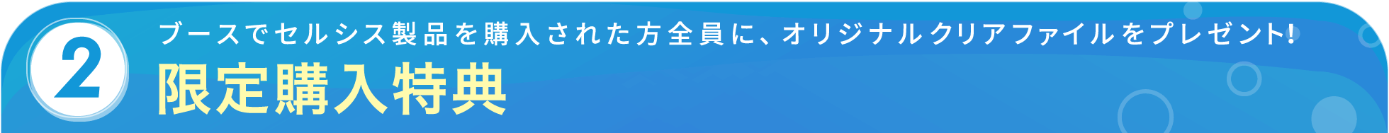 購入特典としてZipcyさんのイラストのクリアファイルをプレゼント