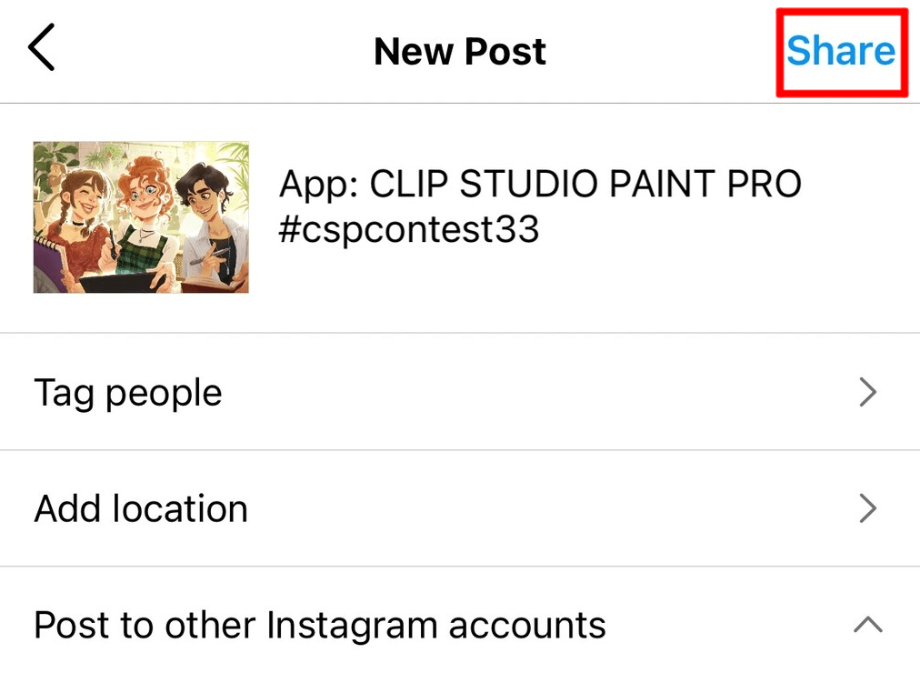 Example of Instagram entry