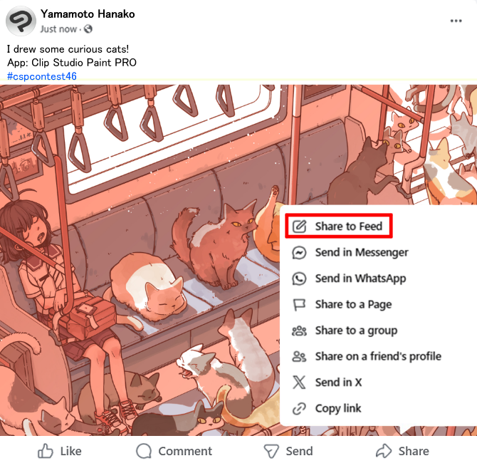 Example of Facebook entry