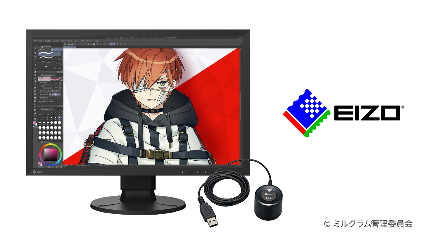 ColorEdge CS2400R & キャリブレーションセンサー