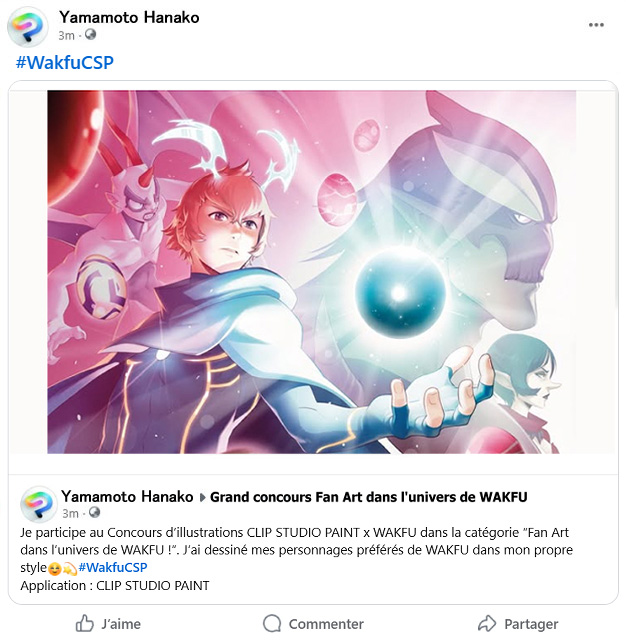 Exemple de participation sur Facebook
