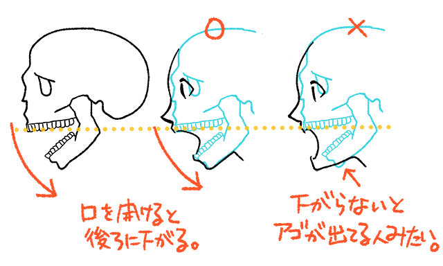 新着イラスト 横顔 口 ディズニー帝国