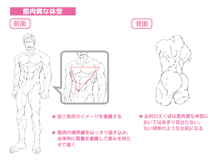 男性キャラクターの人体 筋肉の描き方講座 イラスト マンガ描き方ナビ