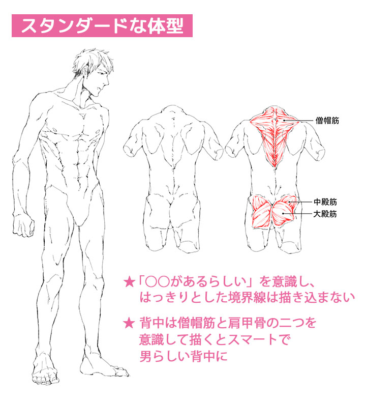 125_男性キャラクターの体の描き分け講座 (2)