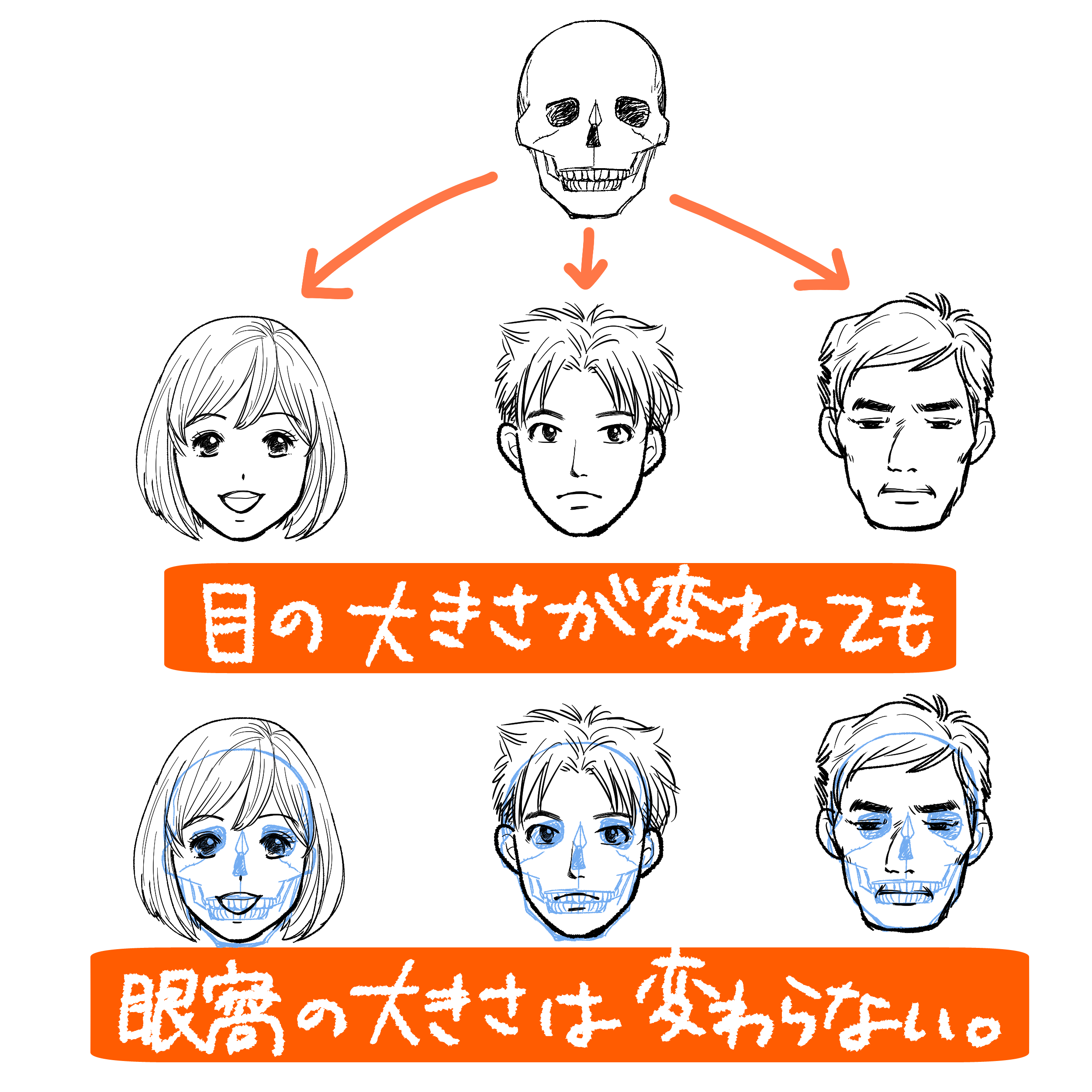 キャラクターの印象は目で決まる 目の描き分け 表情の基本とコツ イラスト マンガ描き方ナビ