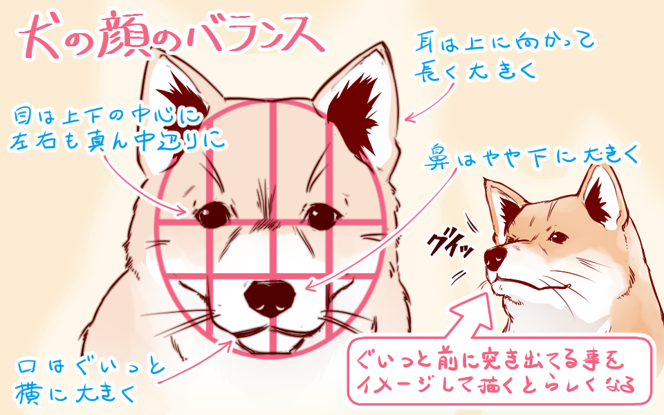 無料の動物画像 無料ダウンロードビーグル イラスト 書き方