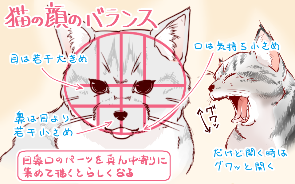 イラストや漫画に使える 上手な犬 猫の描き方 イラスト マンガ描き方ナビ