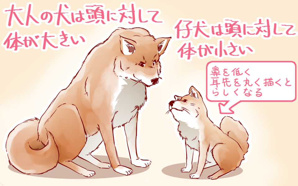 イラストや漫画に使える 上手な犬 猫の描き方 イラスト マンガ描き方ナビ