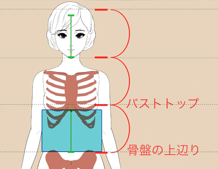 比率と補助線で浴衣姿を描いてみよう