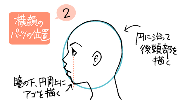 横顔の描き方：鼻と顎のラインより前に出る唇の位置を解説
