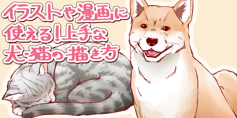 イラストや漫画に使える 上手な犬 猫の描き方 イラスト マンガ描き方ナビ