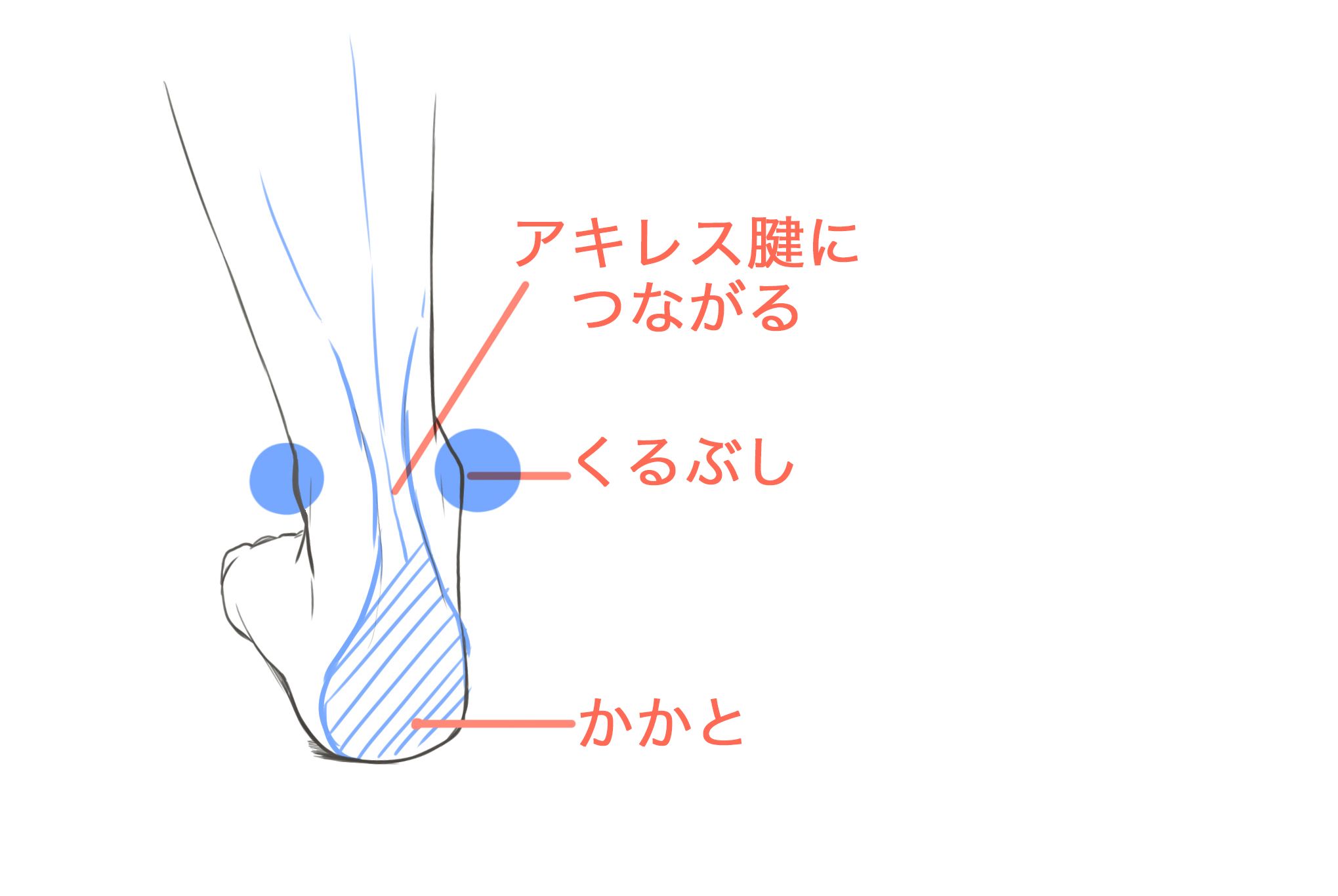 パーツ分けで描ける 足の描き方講座 イラスト マンガ描き方ナビ