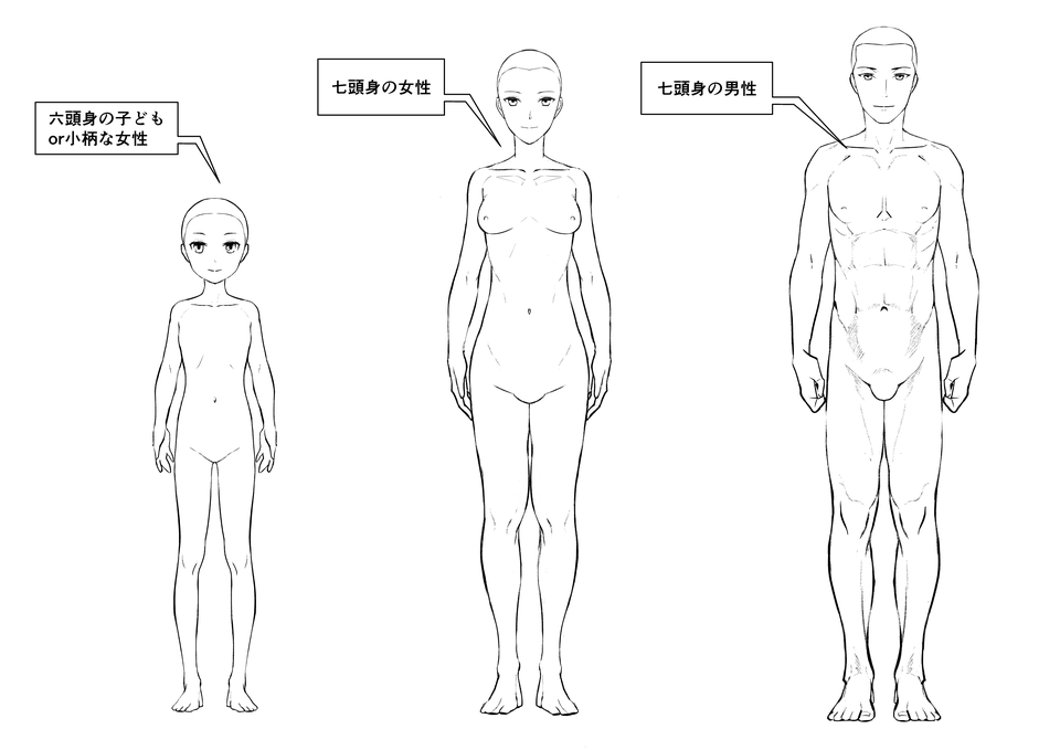 図解 すぐにわかる男女の特徴の付け方 描き分け イラスト マンガ描き方ナビ