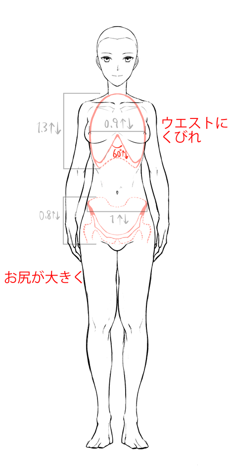 図解 すぐにわかる男女の特徴の付け方 描き分け イラスト マンガ描き方ナビ