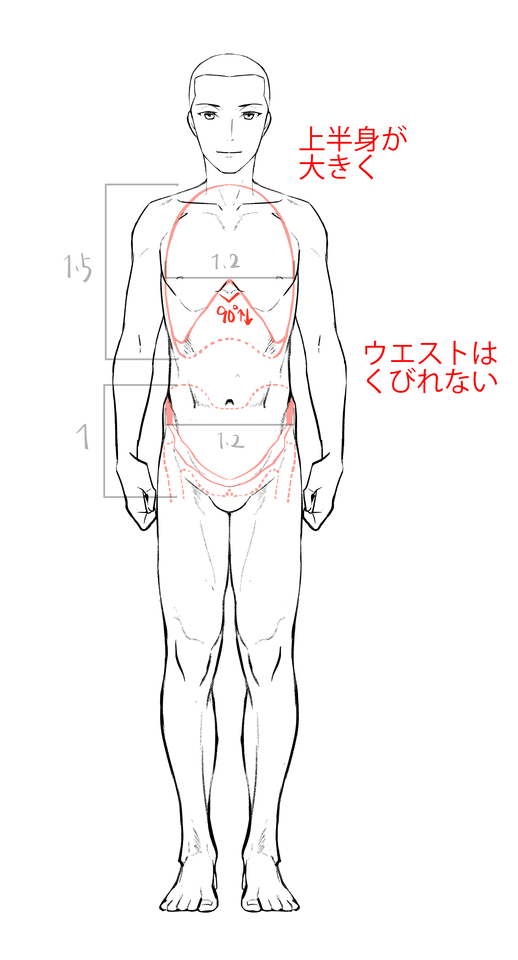 図解 すぐにわかる男女の特徴の付け方 描き分け イラスト マンガ描き方ナビ