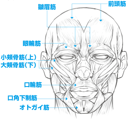 感情の数だけ表情がある 作例と図解で豊かな表情をマスターしよう イラスト マンガ描き方ナビ