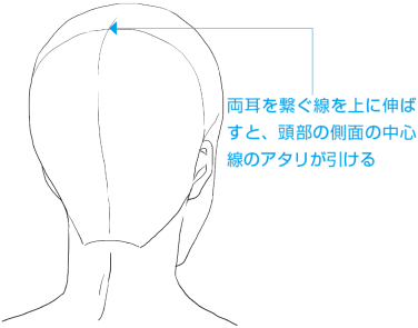 男性の後ろ側　つむじのアタリを取る　例