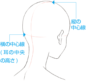 女性の後ろ側　中心線のアタリを取る　例