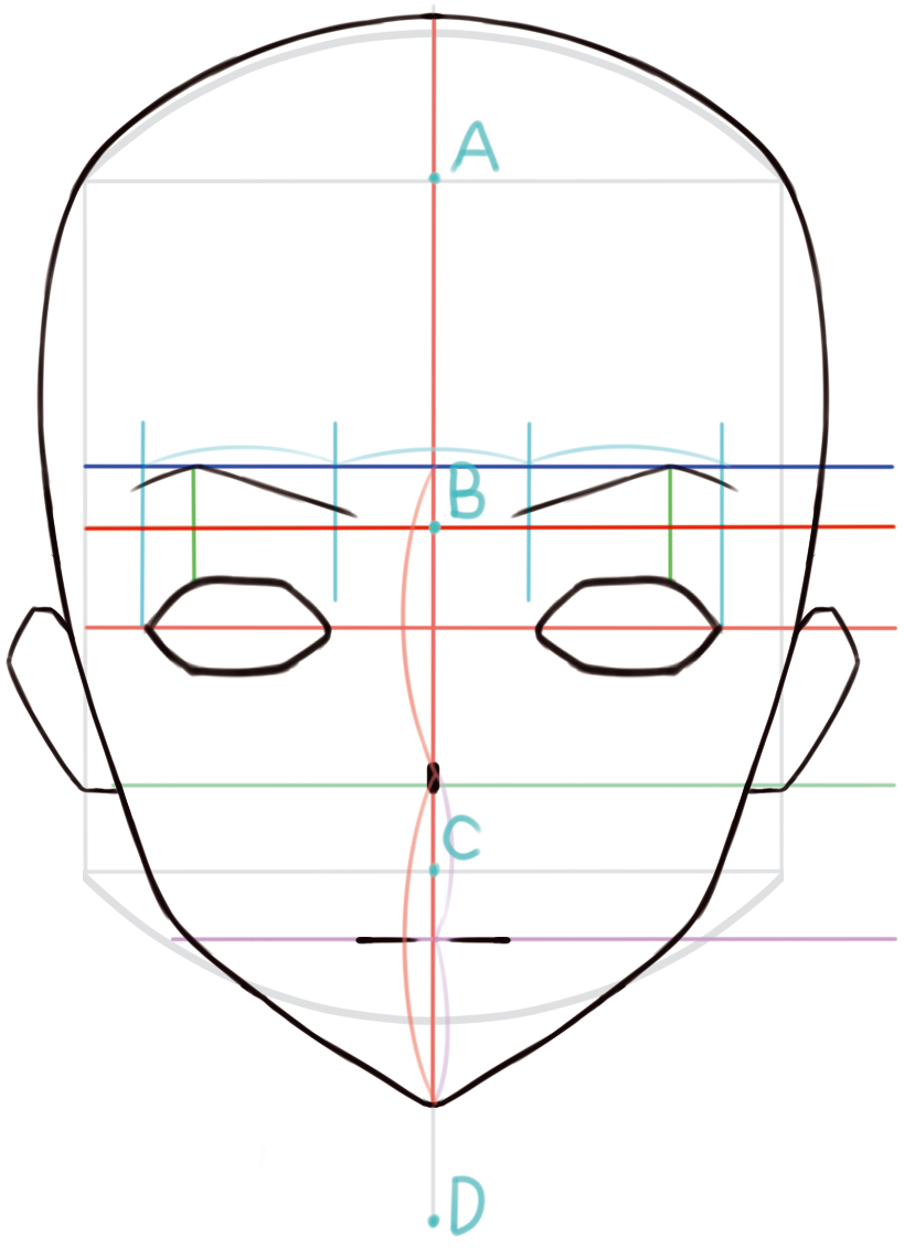 顔の描き方 顔のパーツのバランスの取り方 鼻の形を知ろう イラスト マンガ描き方ナビ