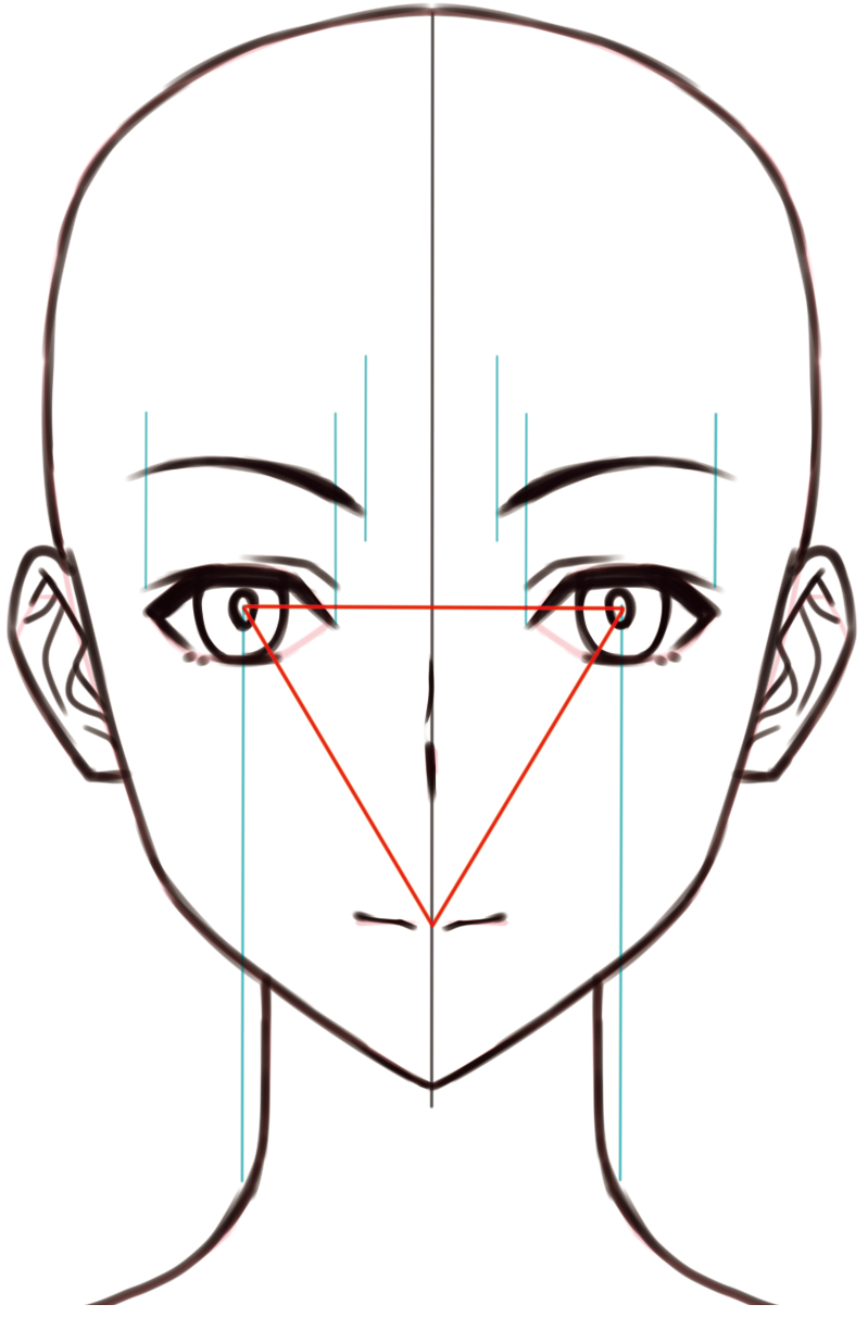 顔の描き方 顔のパーツのバランスの取り方 鼻の形を知ろう