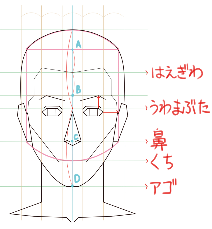 男性の顔　アタリを取る　例