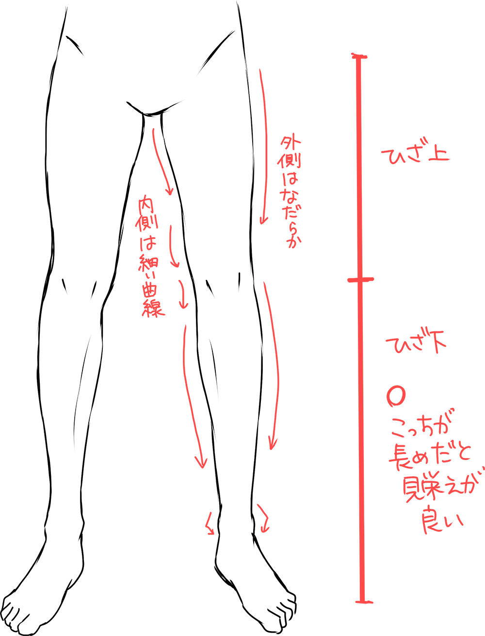 イケメンの描き方　下半身