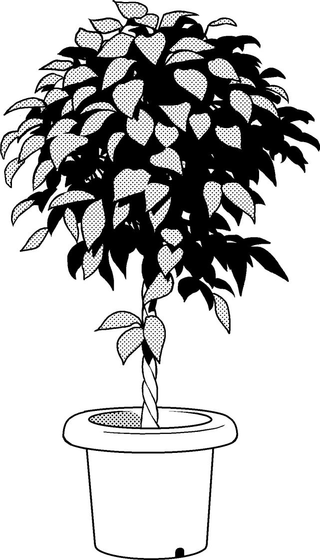 超級 背景講座 Maedaxの背景萌え 観葉植物の描き方 イラスト マンガ描き方ナビ