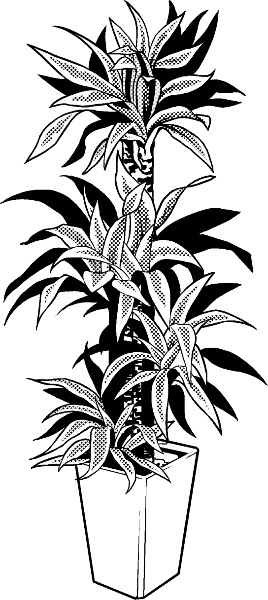超級 背景講座 Maedaxの背景萌え 観葉植物の描き方 イラスト マンガ描き方ナビ