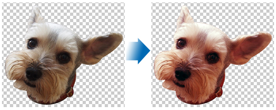 作例　犬の画像の色を調整する
