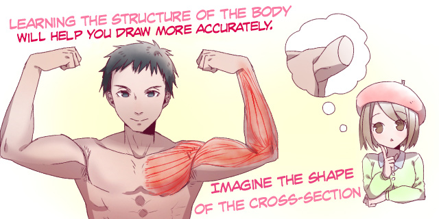 Featured image of post Reference Anime Muscle Drawing Body drawing anatomy drawing manga drawing gesture drawing drawing sketches art drawings drawing hair kawaii drawings anime poses reference