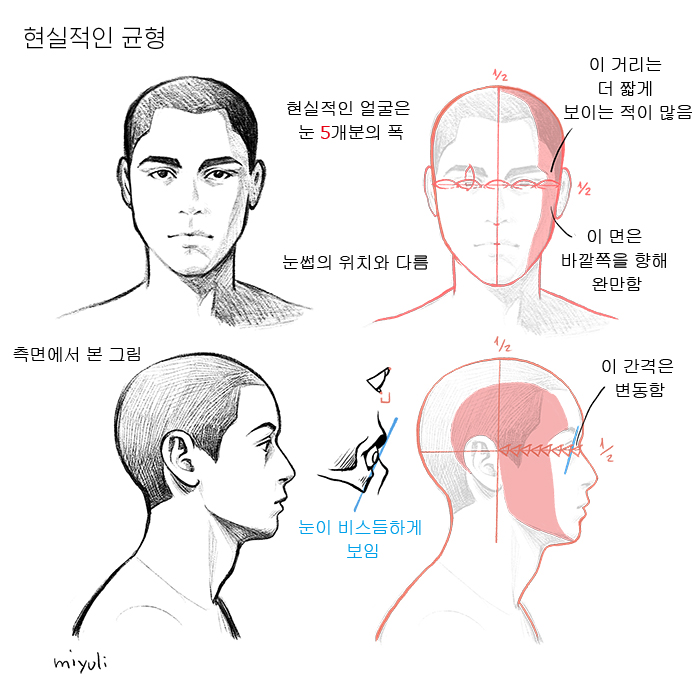 눈의 구조를 이해하면 그릴 수 있다 – 눈 그리는 법 강좌 | 그림 꿀팁사전