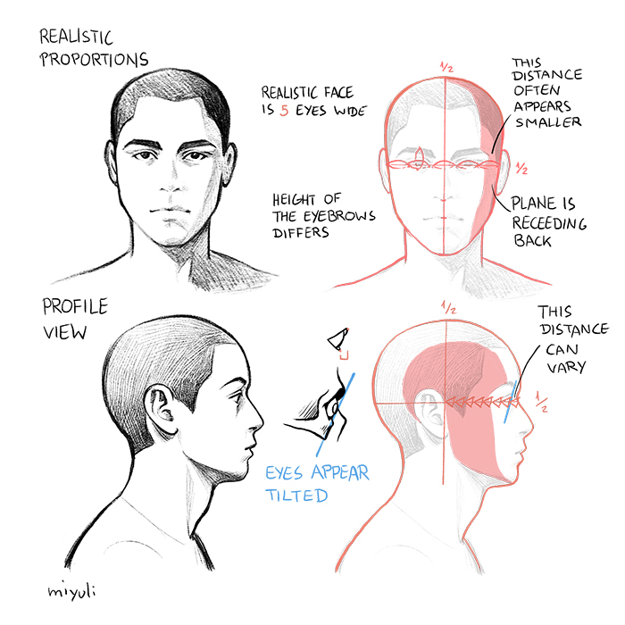 Featured image of post How To Draw A Face Shape Realistic