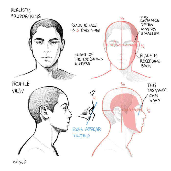 Side view croquis