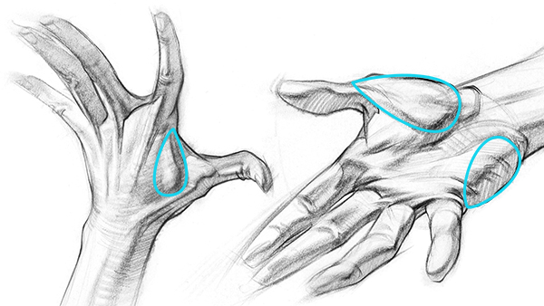 Hand Reference for Artists - Improve Your Drawing Skills