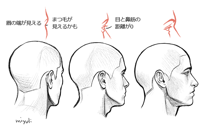 キャラクターを表情豊かにする 立体的な目の描き方講座 イラスト マンガ描き方ナビ