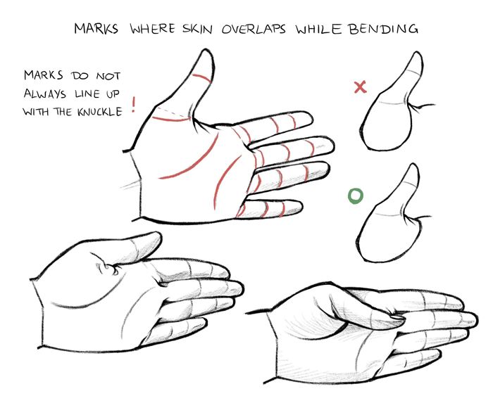 How to Draw Anime Hands and Feet