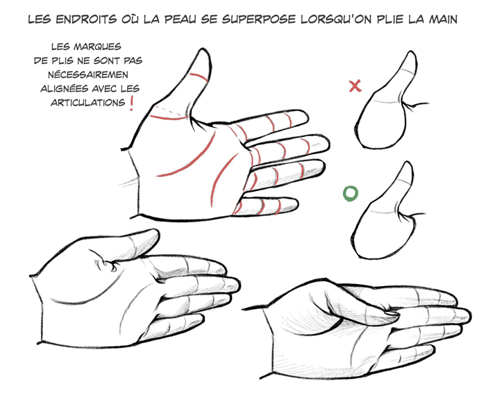 Comment dessiner les mains