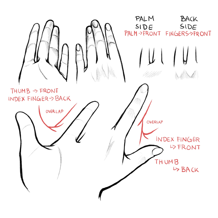 How to Draw Hands and Feet