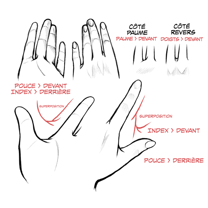 Dessiner des pieds et des mains