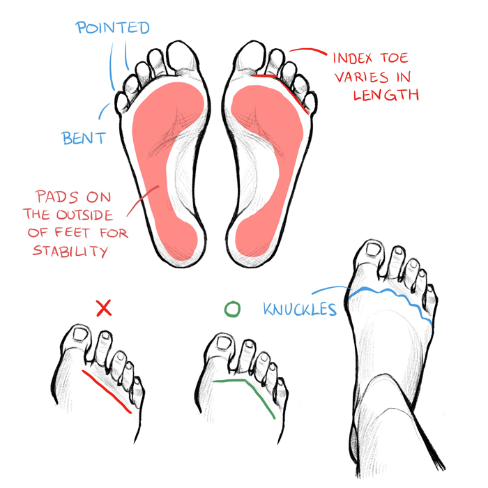 How to Draw Hands and Feet | Art Rocket