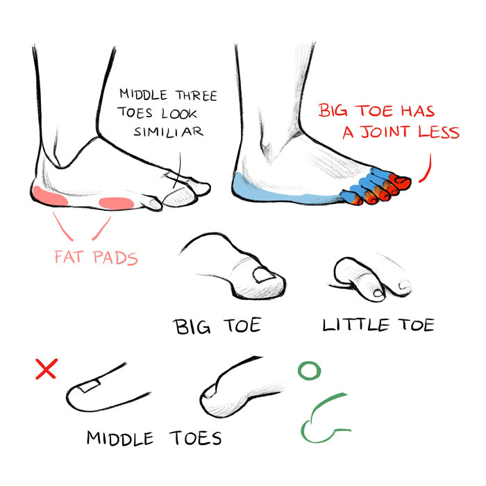 How to Draw Hands and Feet | Art Rocket