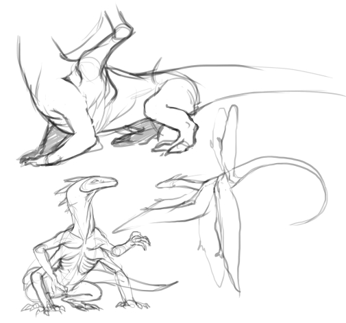 More visual development of the dragon design