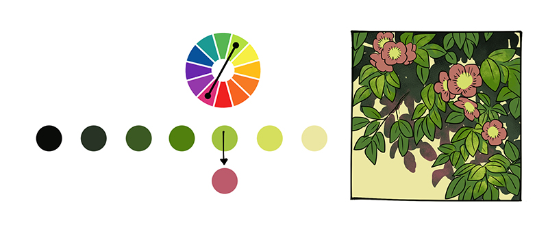 Guide to Creating Color Schemes