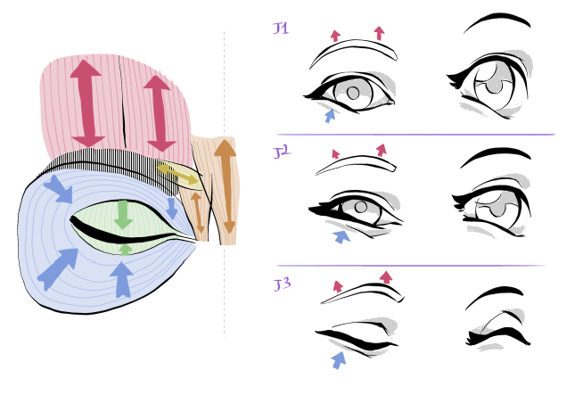 The Many Expressions of Anime Faces  MyAnimeListnet