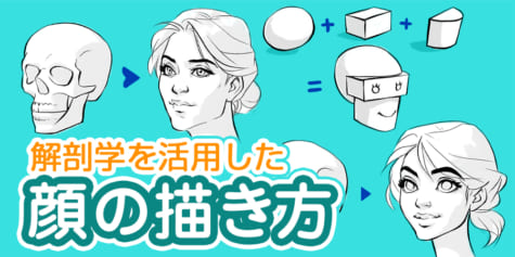 解剖学を活用した顔の描き方【パーツの動き方に注目！】