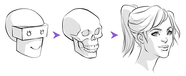解剖学を活用した顔の描き方 パーツの動き方に注目 イラスト マンガ描き方ナビ