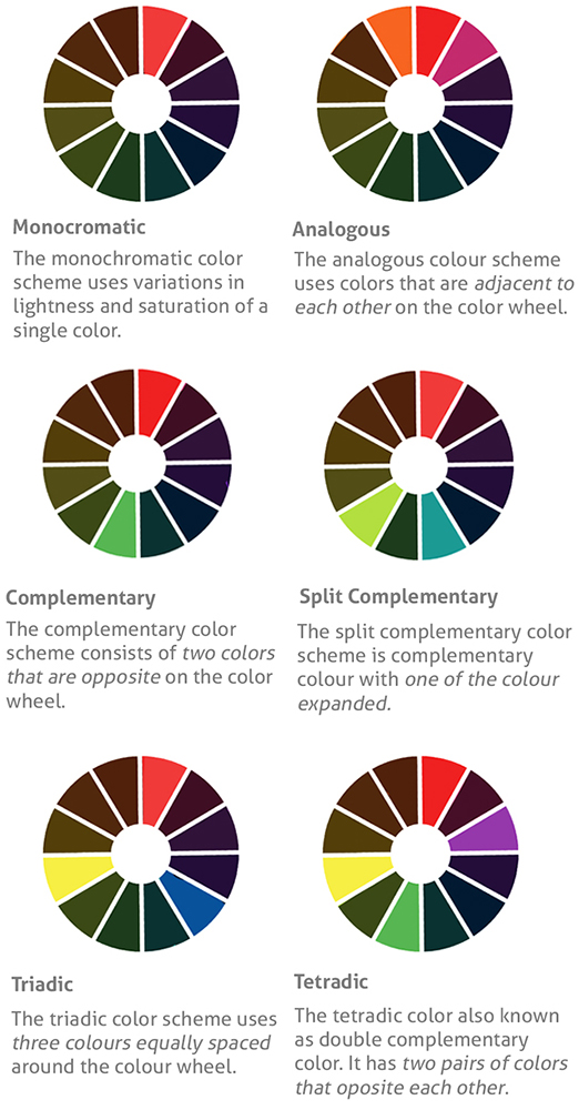 Color Theory 101: A Complete Guide to Color Wheels & Color Schemes