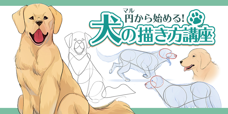 円から始める 犬の描き方講座 イラスト マンガ描き方ナビ